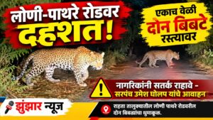 बिबट्याच्या हल्ल्यातून पाथरे बुद्रुक येथील दांपत्य बचावले